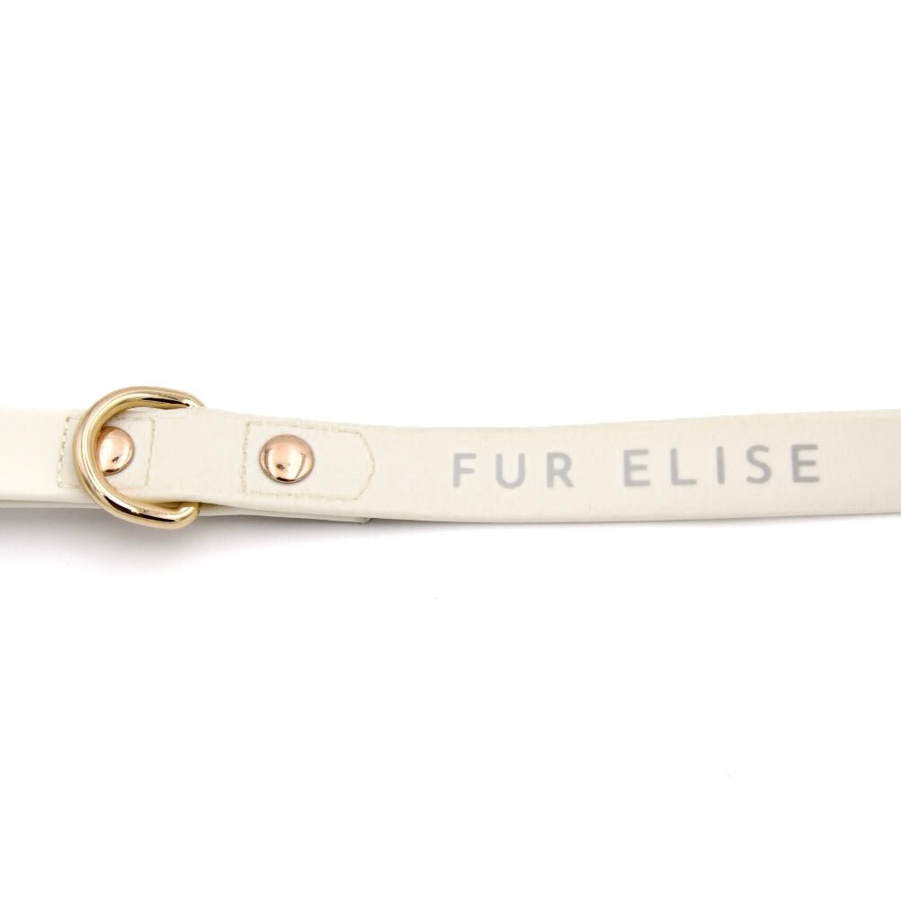 Elise Waterproof Dog Leash - Bone – Dog Leashes by Fur Elise Pets