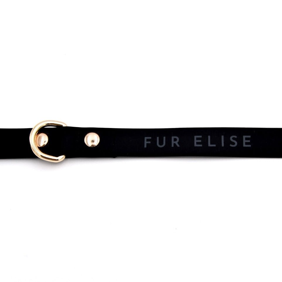 Elise Waterproof Dog Leash - Noir – Dog Leashes by Fur Elise Pets