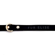 Elise Waterproof Dog Leash - Noir – Dog Leashes by Fur Elise Pets