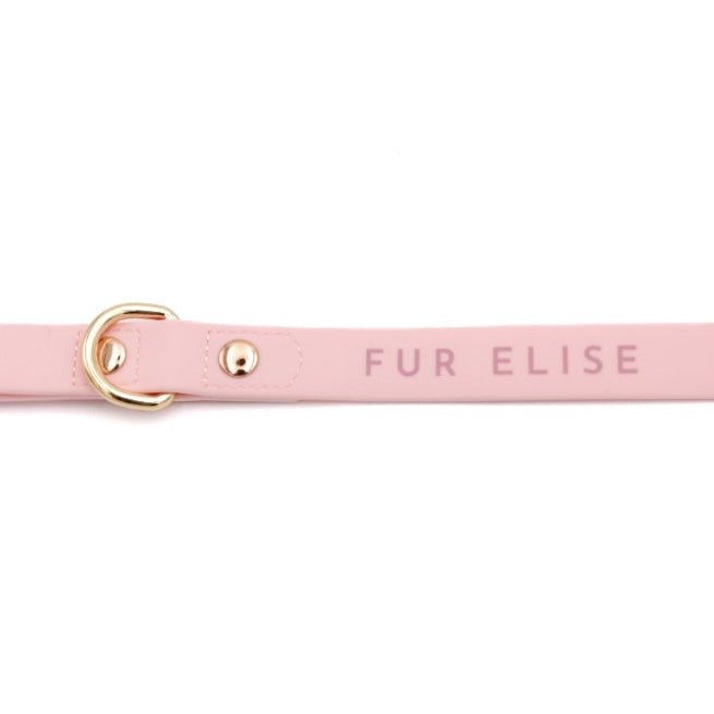 Elise Waterproof Dog Leash - Rose – Dog Leashes by Fur Elise Pets