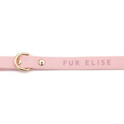 Elise Waterproof Dog Leash - Rose – Dog Leashes by Fur Elise Pets