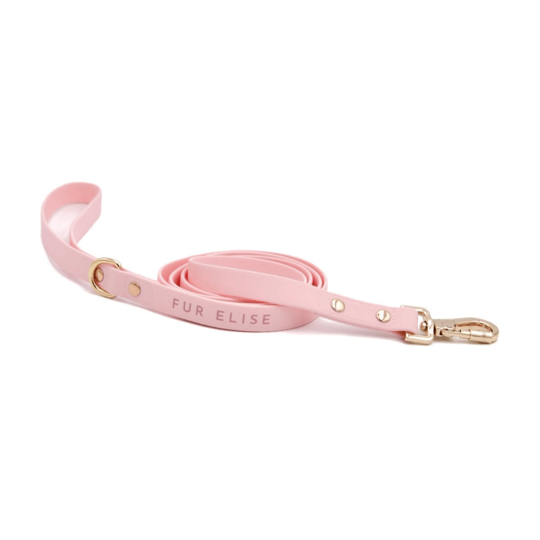 Elise Waterproof Dog Leash - Rose – Dog Leashes by Fur Elise Pets