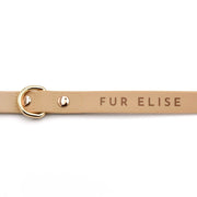 Elise Waterproof Dog Leash - Sand – Dog Leashes by Fur Elise Pets