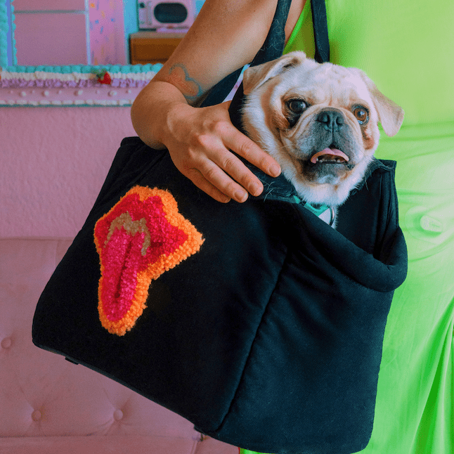 Fem World DOG CARRIER TOTE BAG – Pet Carriers by JUST FRED.