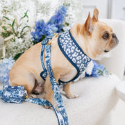 Final EDIT: Duo Reversible Dog Harness - Toile Blue – Dog Harnesses by Frenchie Bulldog