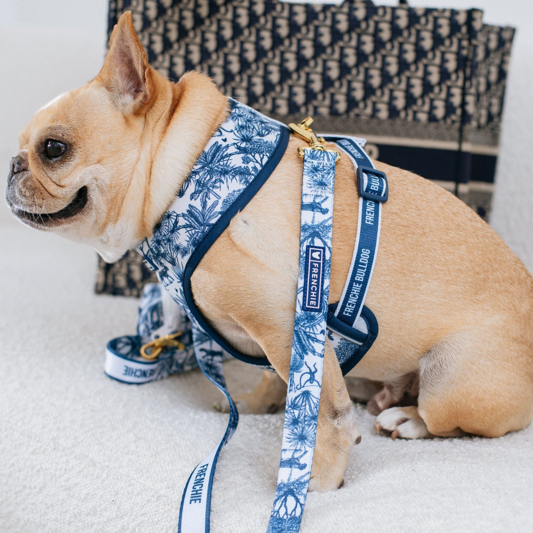 Final EDIT: Duo Reversible Dog Harness - Toile Blue – Dog Harnesses by Frenchie Bulldog