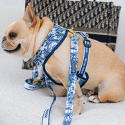 Final EDIT: Duo Reversible Dog Harness - Toile Blue – Dog Harnesses by Frenchie Bulldog