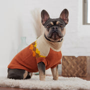 Fireside Dog Sweater - Chili – Sweaters & Hoodies by GF Pet.us