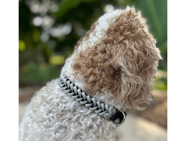 Fishtail Hand Braided Dog Collar in Black & Smoke – Dog Collars by Pawsh Pup Co.
