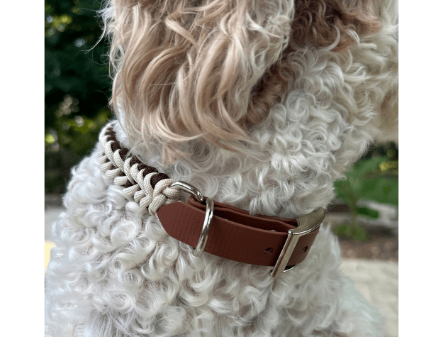 Fishtail Hand Braided Dog Collar in Burgundy & Cream – Dog Collars by Pawsh Pup Co.