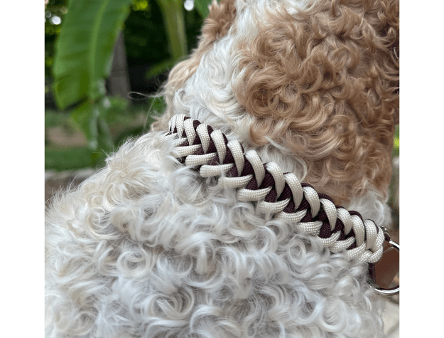 Fishtail Hand Braided Dog Collar in Burgundy & Cream – Dog Collars by Pawsh Pup Co.