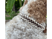 Fishtail Hand Braided Dog Collar in Burgundy & Cream – Dog Collars by Pawsh Pup Co.