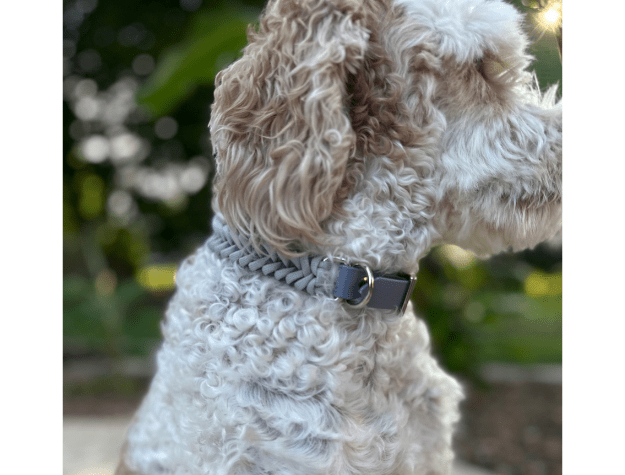 Fishtail Hand Braided Dog Collar in Graphite & Smoke – Dog Collars by Pawsh Pup Co.