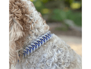 Fishtail Hand Braided Dog Collar in Lavender & Smoke – Dog Collars by Pawsh Pup Co.