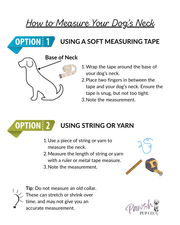 Fishtail Hand Braided Dog Collar in Lavender & Smoke – Dog Collars by Pawsh Pup Co.