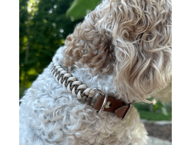 Fishtail Hand Braided Dog Collar in Tan & Cream – Dog Collars by Pawsh Pup Co.