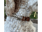 Fishtail Hand Braided Dog Collar in Tan & Cream – Dog Collars by Pawsh Pup Co.