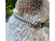 Fishtail Hand Braided Dog Collar in Tan & Cream – Dog Collars by Pawsh Pup Co.