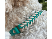 Fishtail Hand Braided Dog Collar in Teal & Cream – Dog Collars by Pawsh Pup Co.