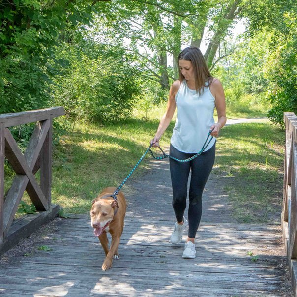 Forever Dog Leash – Dog Leashes by Carmella & Rose