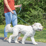 Forever Dog Leash – Dog Leashes by Carmella & Rose