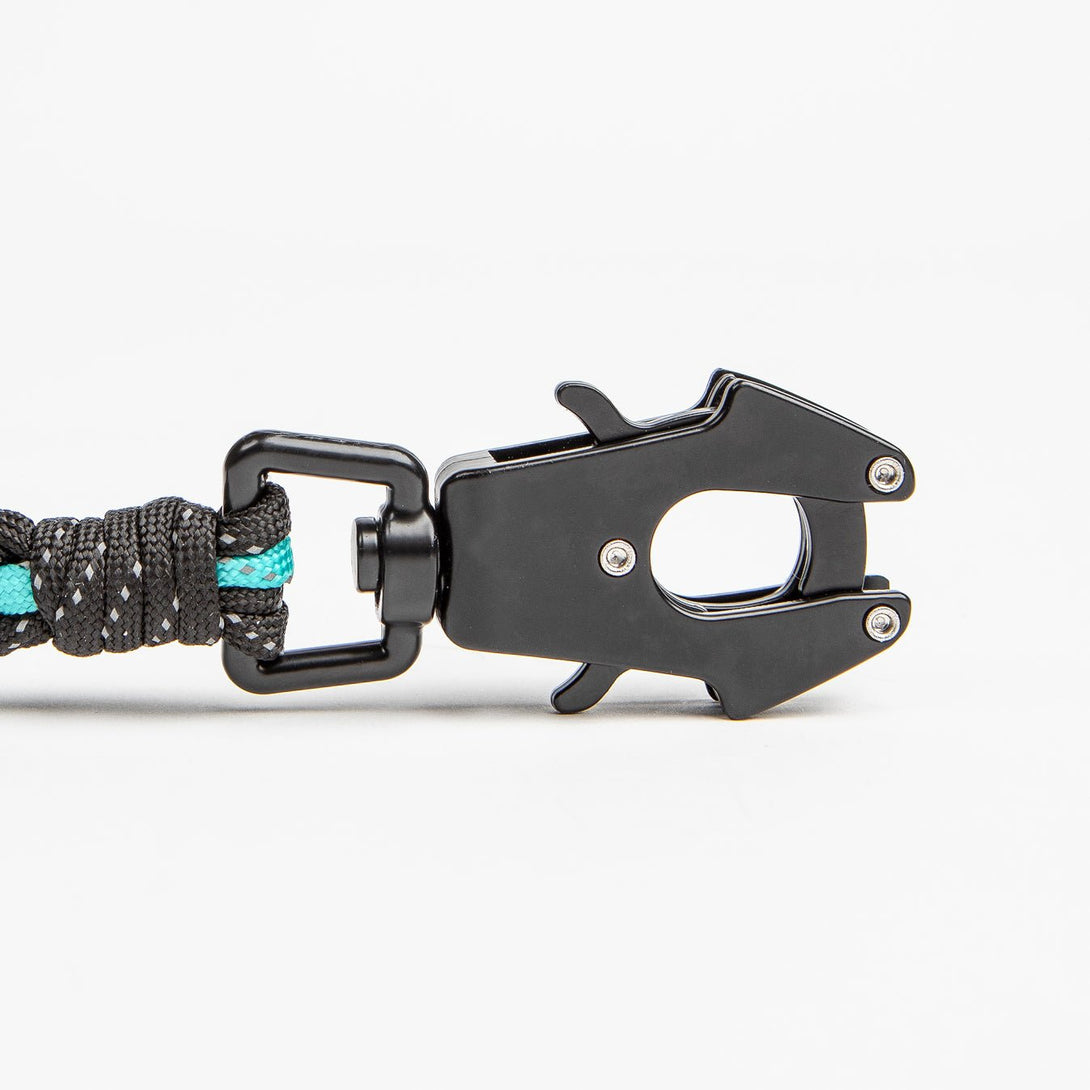 Forever Dog Leash – Dog Leashes by Carmella & Rose