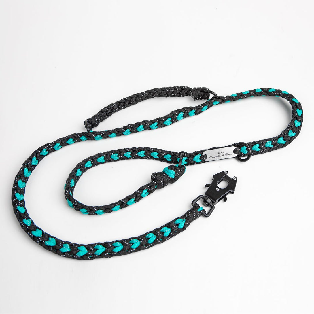 Forever Dog Leash – Dog Leashes by Carmella & Rose