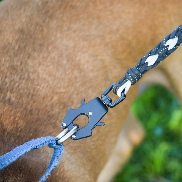 Forever Dog Leash – Dog Leashes by Carmella & Rose
