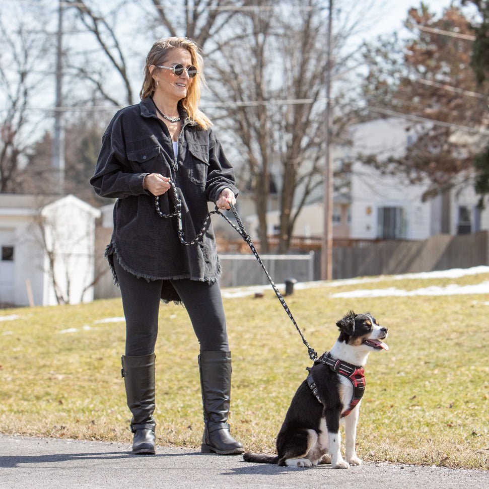 Forever Dog Leash – Dog Leashes by Carmella & Rose
