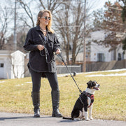 Forever Dog Leash – Dog Leashes by Carmella & Rose