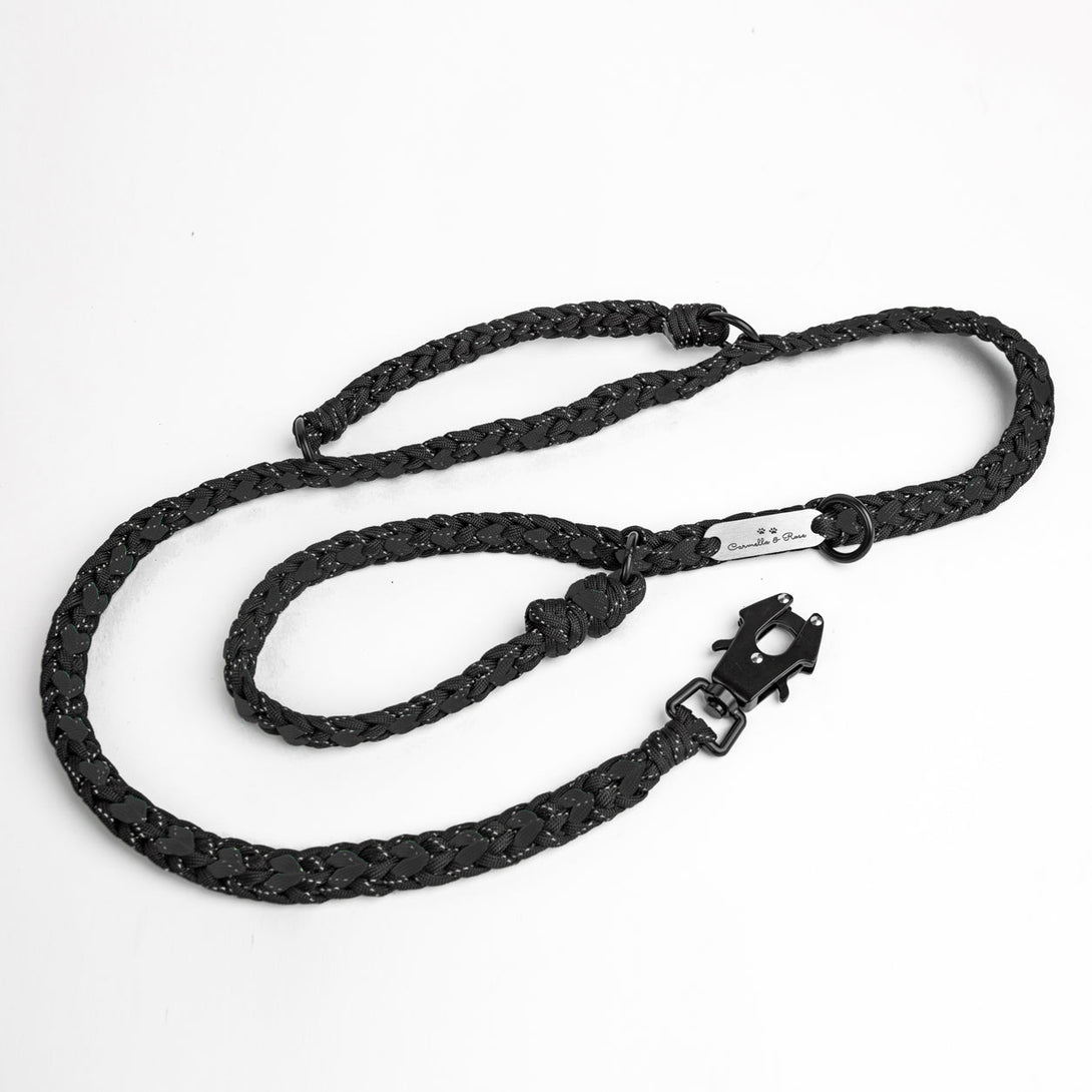 Forever Dog Leash – Dog Leashes by Carmella & Rose
