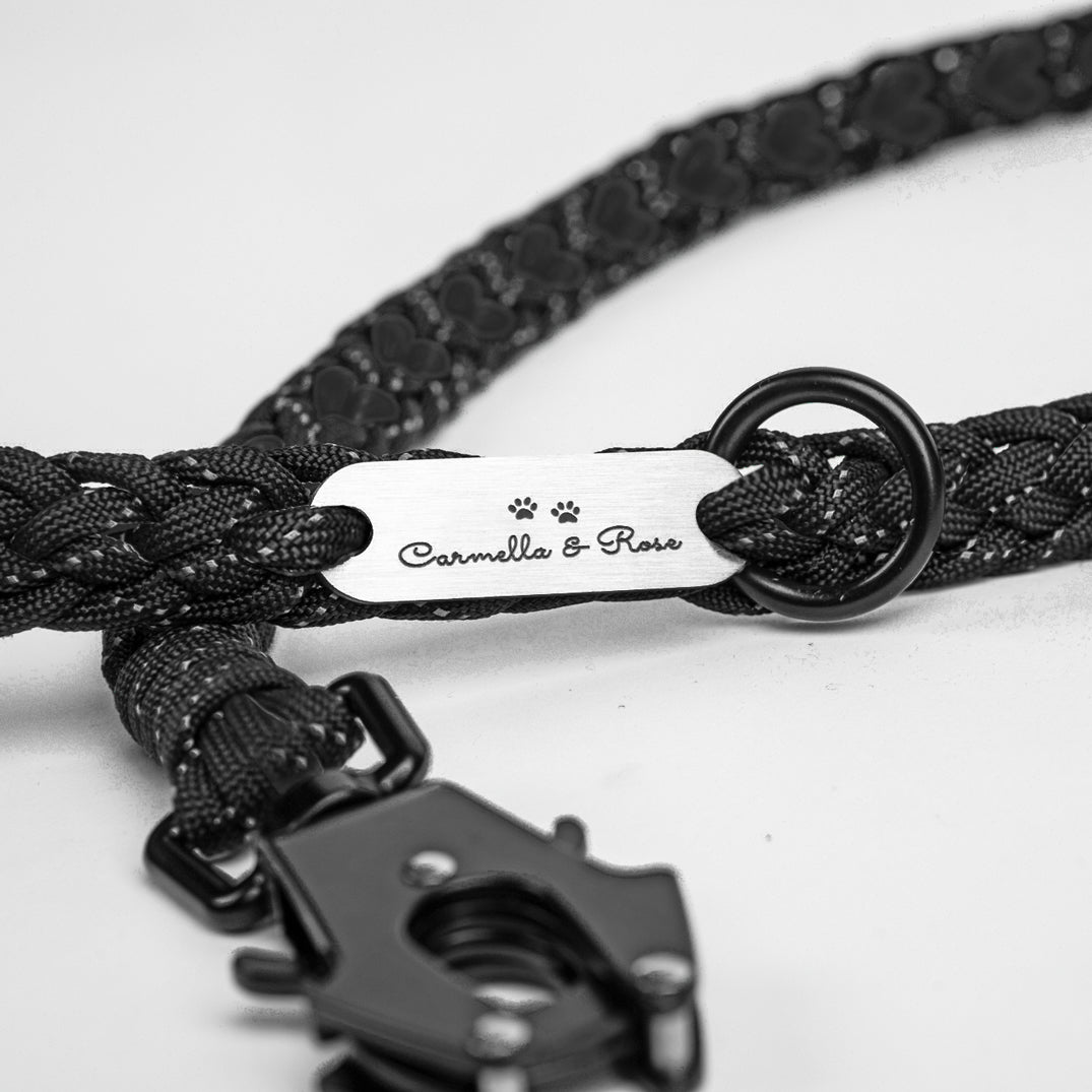 Forever Dog Leash – Dog Leashes by Carmella & Rose