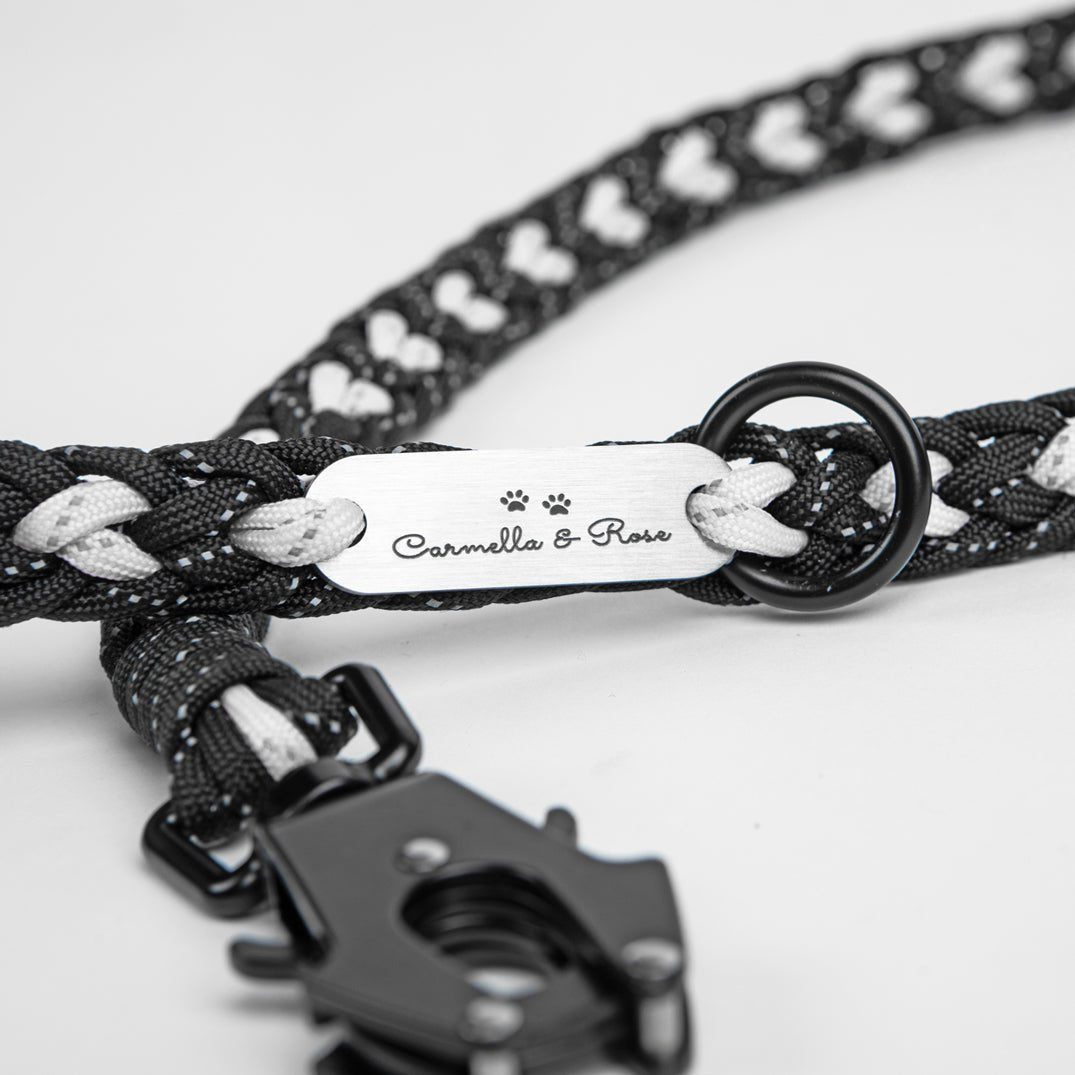 Forever Dog Leash – Dog Leashes by Carmella & Rose