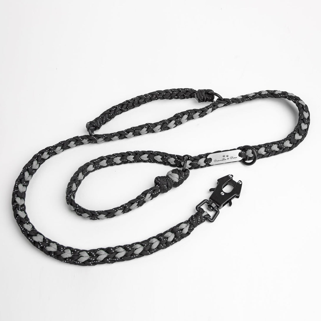 Forever Dog Leash – Dog Leashes by Carmella & Rose