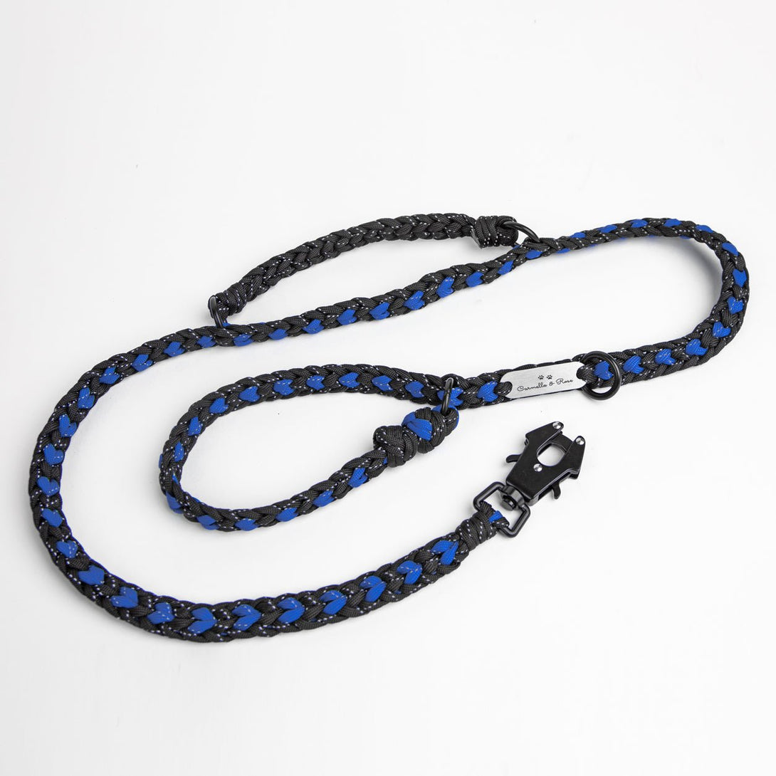 Forever Dog Leash – Dog Leashes by Carmella & Rose