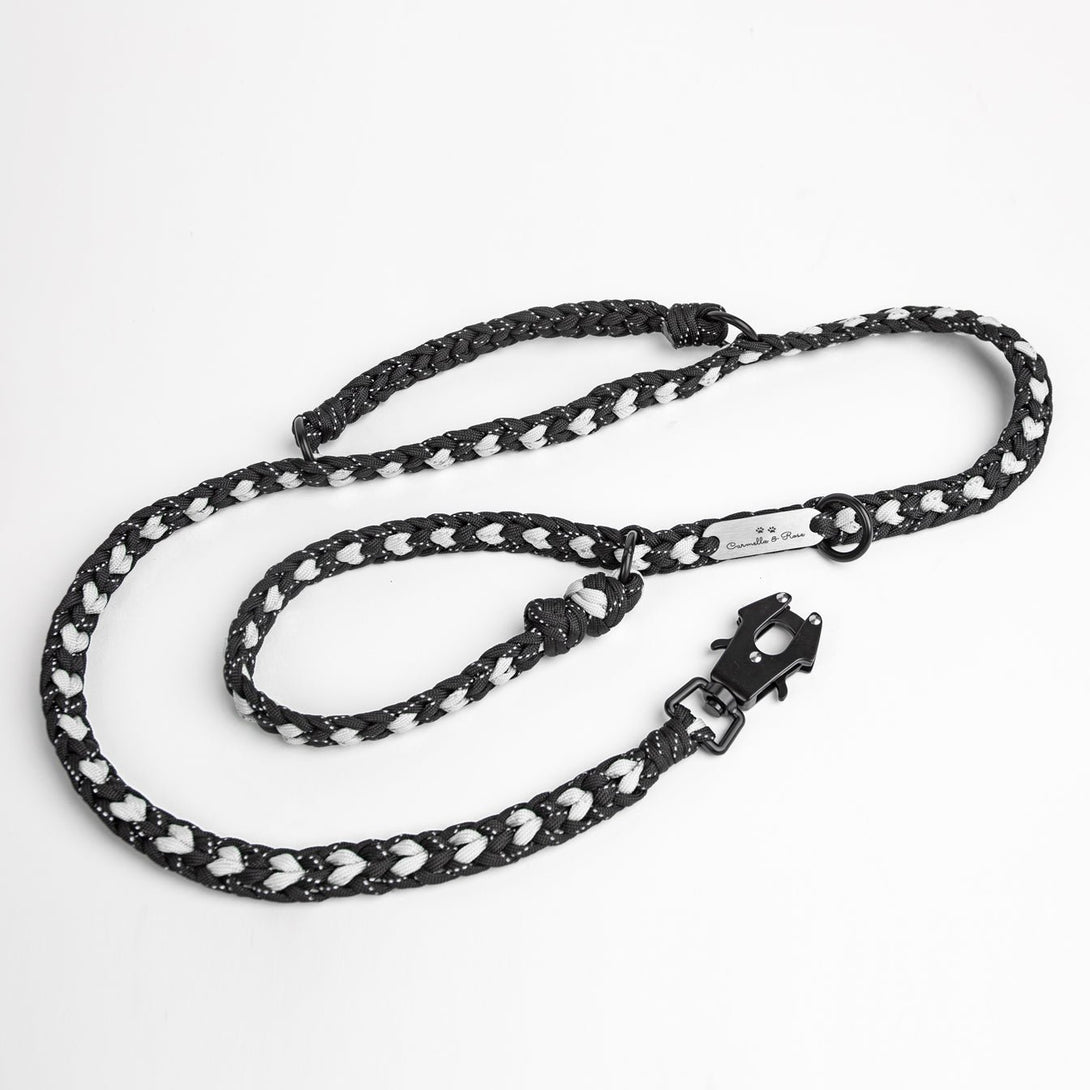 Forever Dog Leash – Dog Leashes by Carmella & Rose