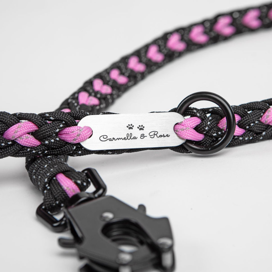 Forever Dog Leash – Dog Leashes by Carmella & Rose
