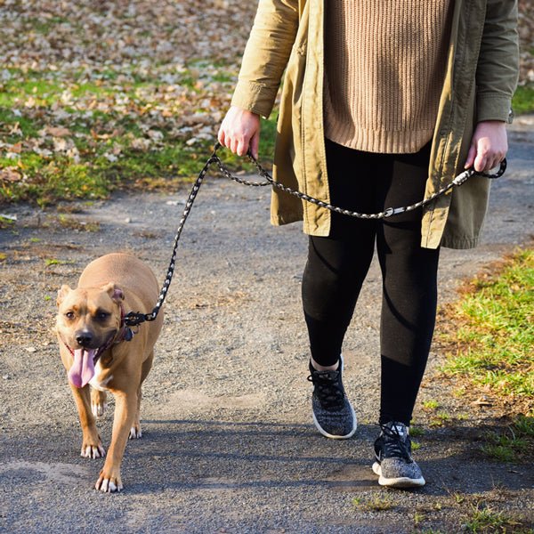 Forever Dog Leash – Dog Leashes by Carmella & Rose