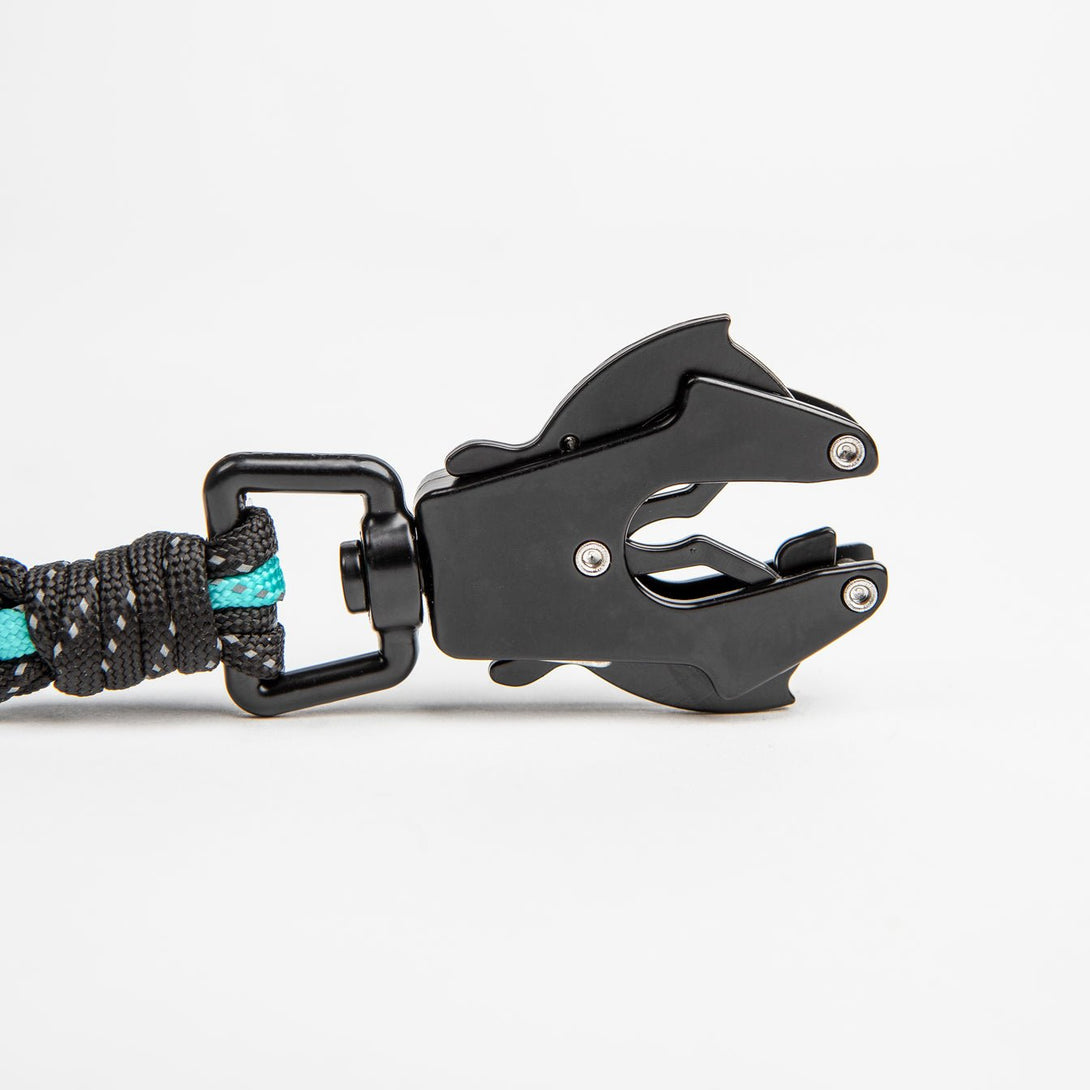 Forever Dog Leash – Dog Leashes by Carmella & Rose
