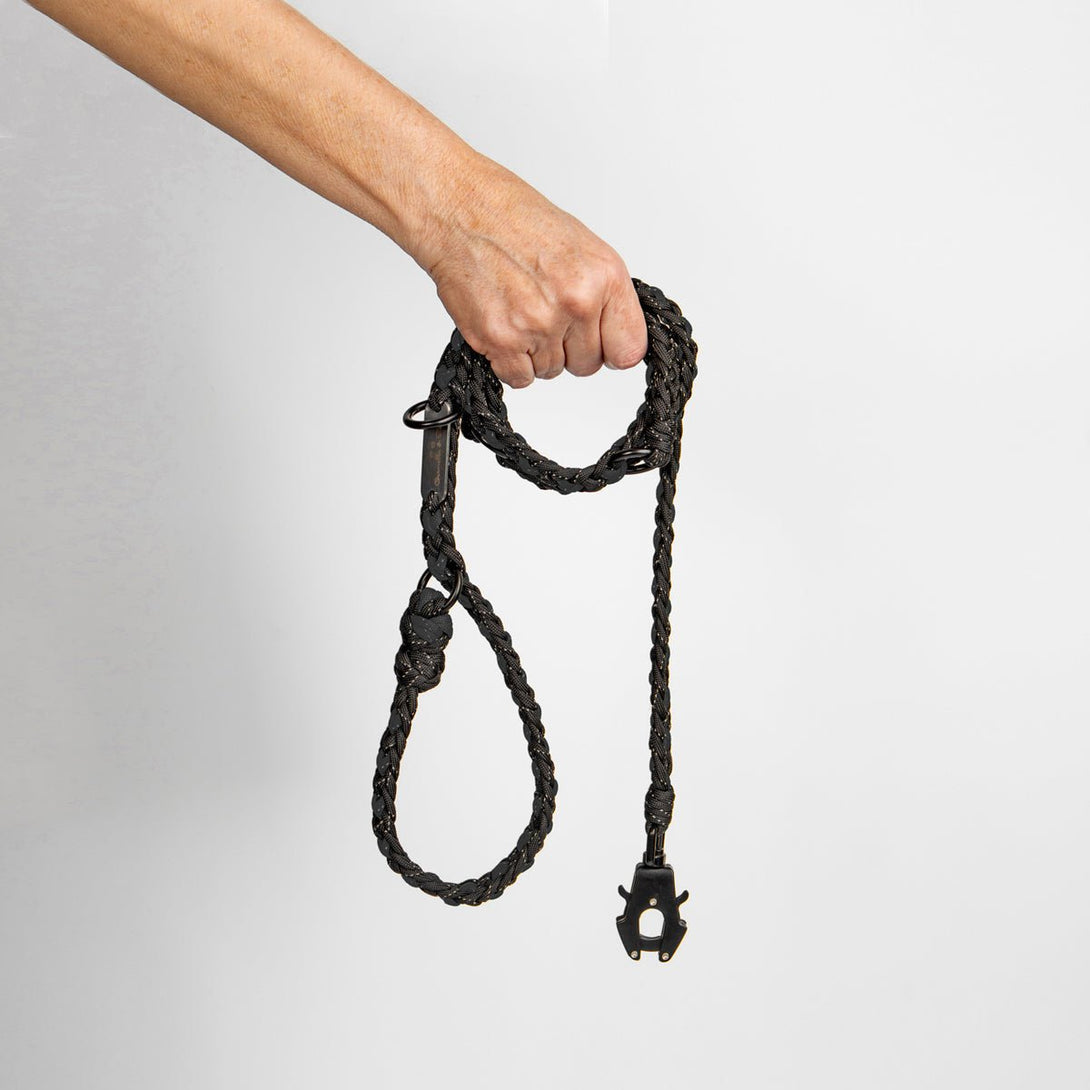 Forever Dog Leash – Dog Leashes by Carmella & Rose
