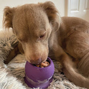 Freezball - Durable Fillable Dog Chew Bone – Dog Toys by Freezbone