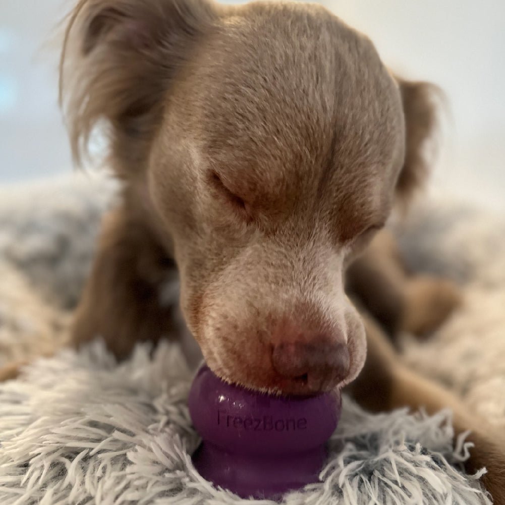 Freezball - Durable Fillable Dog Chew Bone – Dog Toys by Freezbone