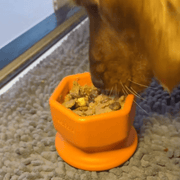 FreezCup - Long - Lasting Chew Fun Dog Toy – Dog Toys by Freezbone