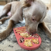 FreezPaw Mat - Calming Dog Slow Feeder – Dog Bowls & Feeders by Freezbone