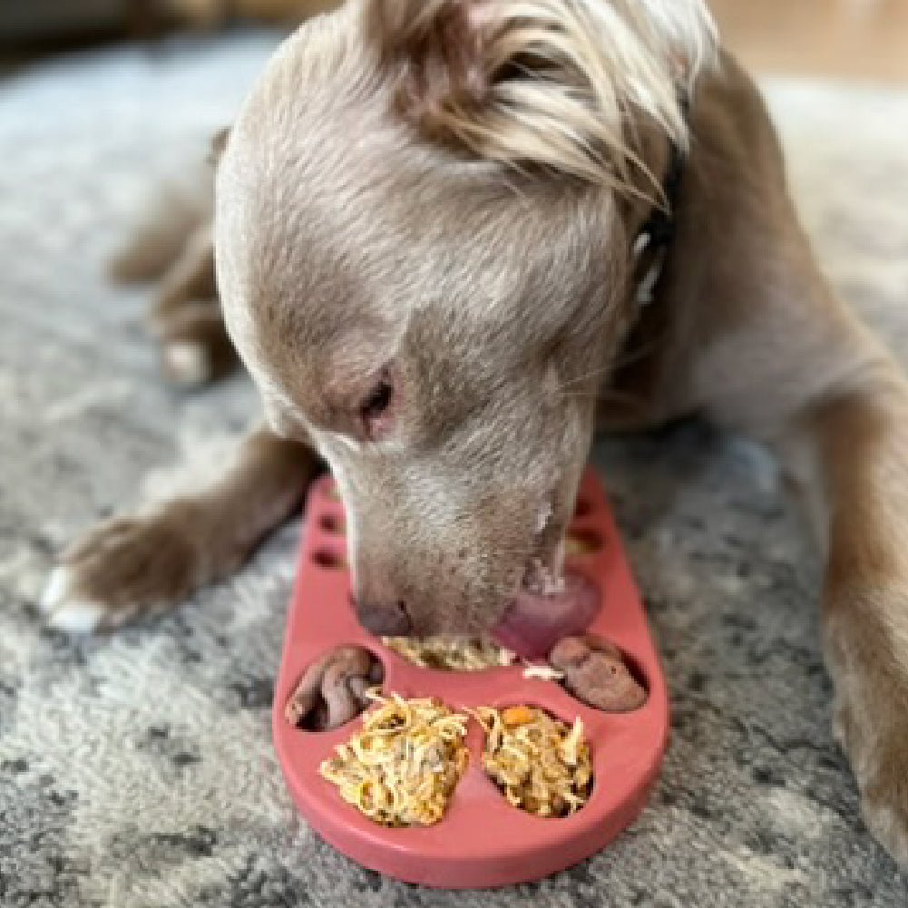 FreezPaw Mat - Calming Dog Slow Feeder – Dog Bowls & Feeders by Freezbone