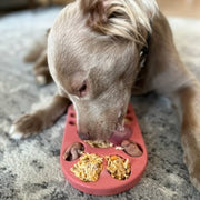 FreezPaw Mat - Calming Dog Slow Feeder – Dog Bowls & Feeders by Freezbone