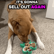 FreezShamrock - Premium Enrichment Dog Toy – Dog Toys by Freezbone