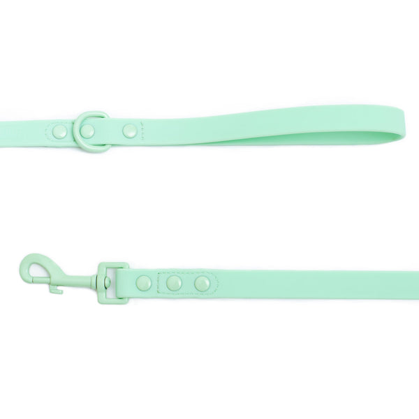 Frenchie Waterproof Leash - Mint Green