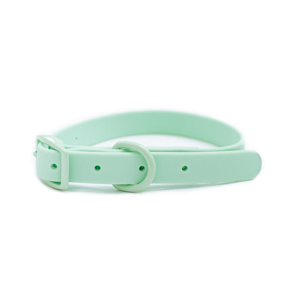 Frenchie Waterproof Dog Collar - Mint Green