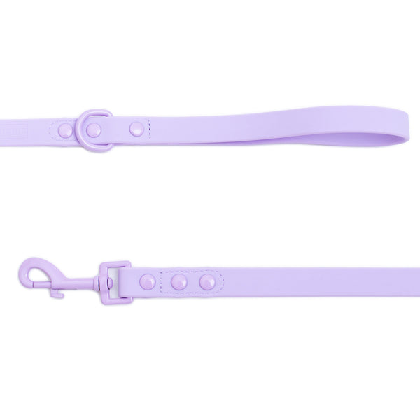 Frenchie Waterproof Leash - Violet